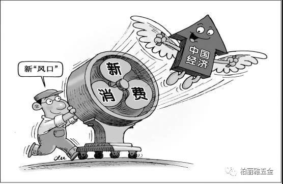 中產(chǎn)階層帶動新消費崛起，柏麗雅家居五金【定制】順時代而創(chuàng)新